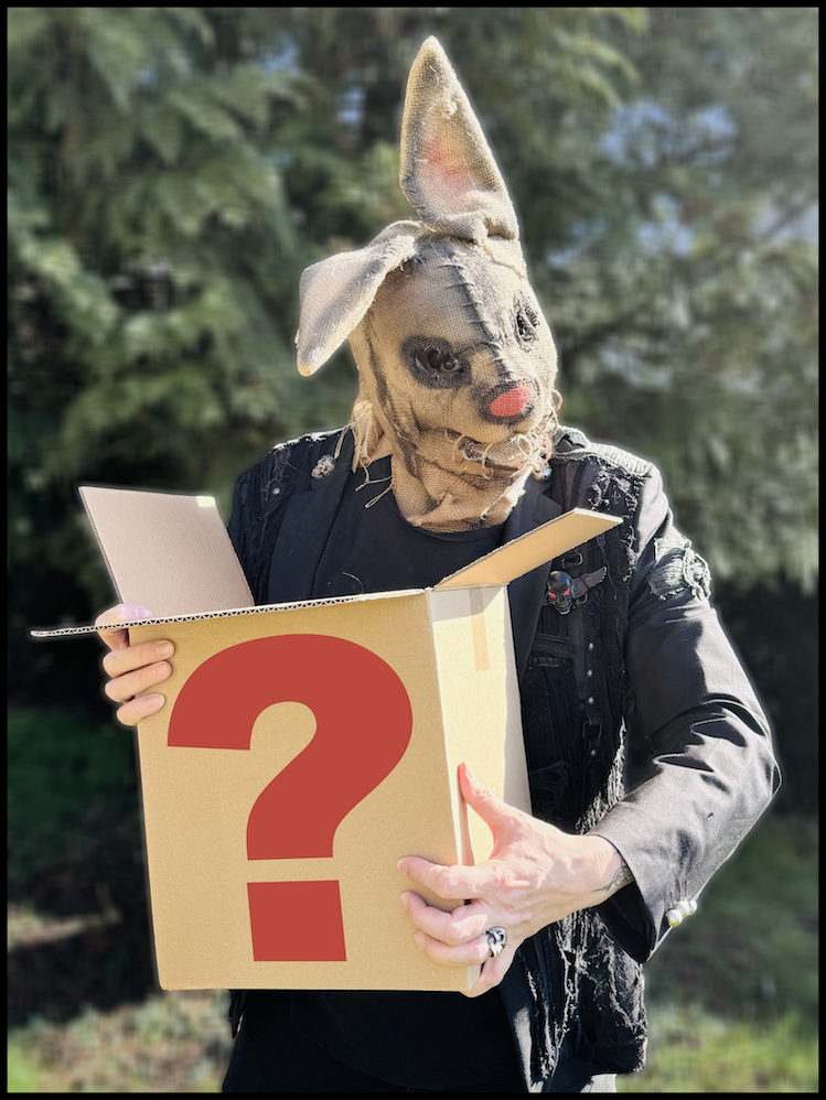 Produktabbildung ASP ÜBERRASCHUNGSPAKET 2026